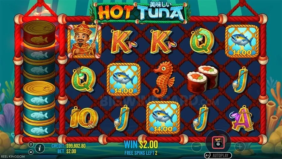 Weekly Cashback Rewards at 8k8 Bet Login